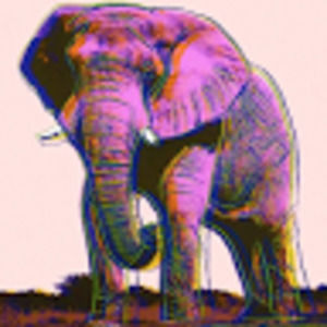 Meet your Posher, Lee sadler